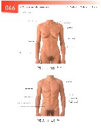 Sobotta  Atlas of Human Anatomy  Trunk, Viscera,Lower Limb Volume2 2006, page 53